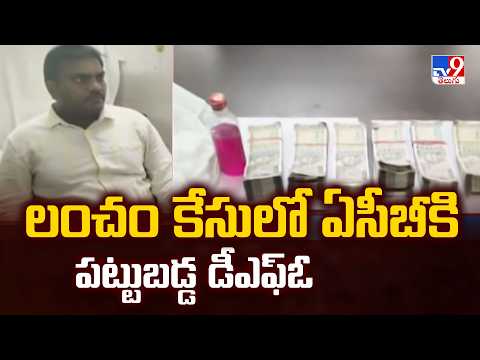 Tirupati : లంచం కేసులో ఏసీబీకి పట్టుబడ్డ డీఎఫ్ఓ - TV9 - TV9