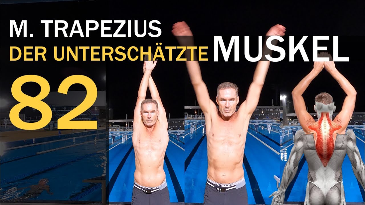 TRAPEZIUS - dieser Muskel limitiert dich! | Bessere SCHWIMMTECHNIK mit höherer RANGE OF MOTION 82