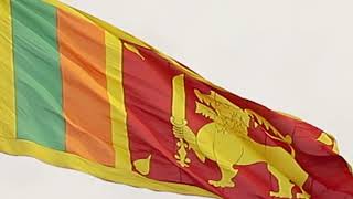 National Flag of Sri Lanka - Lion Flag - Sinha Kodiya - Full HD 1080p - No Copyright Zone