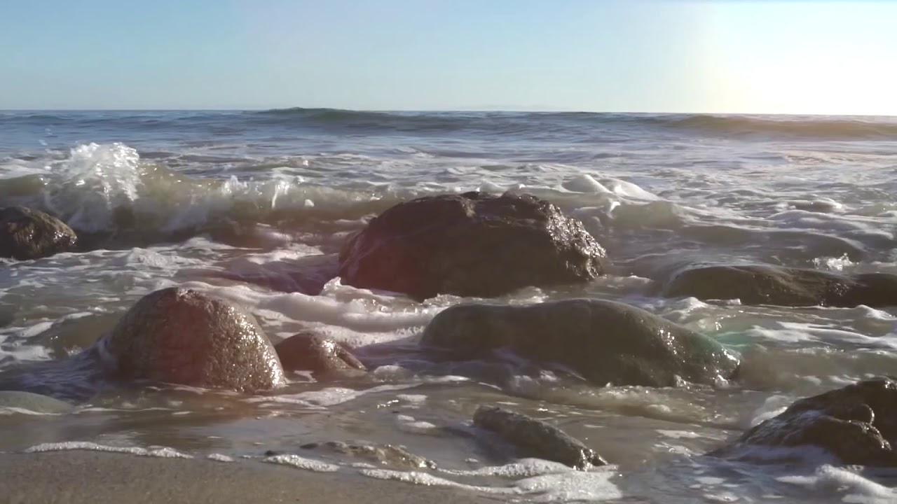 Hakuna Supply Cafe and Lounge