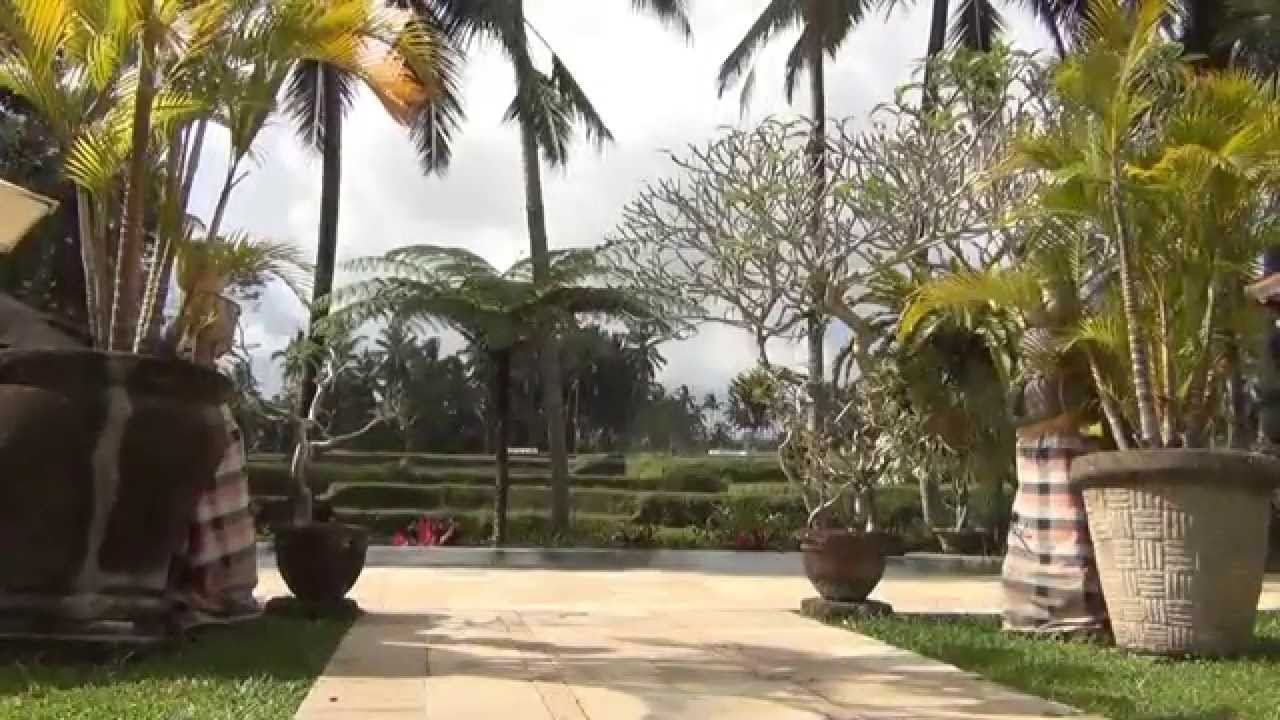 Villas & Bungalows - Villa Orchid Bali