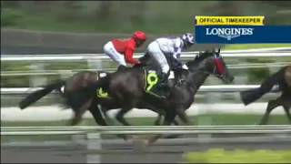 Singapore 20171119 race 4 CHOCANTE