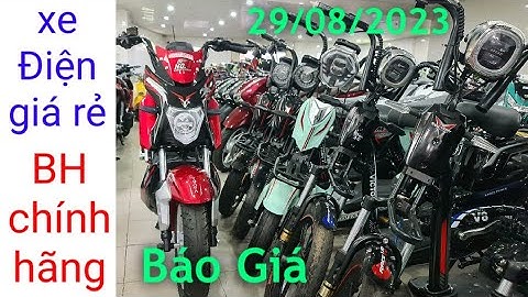 Xe đạp điện giá bao nhiêu một chiếc