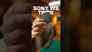 Perfect white balance with this 1 trick #photography #sony #sonyalpha