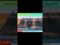 Customer feedback from Laos (Part 1)
