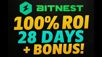 Bitnest ROI Exploded: 100% in 28 Days + 24% Interest Bonus!