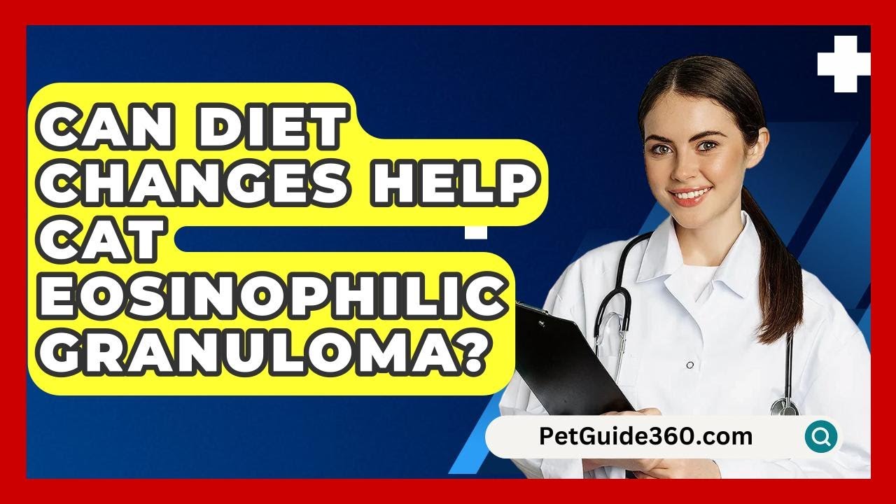 Can Diet Changes Help Cat Eosinophilic Granuloma? - PetGuide360.com