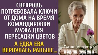 картинка: Свекровь потребовала ключи от дома на время командировки мужа для пересадки цветов… А едва Ева…