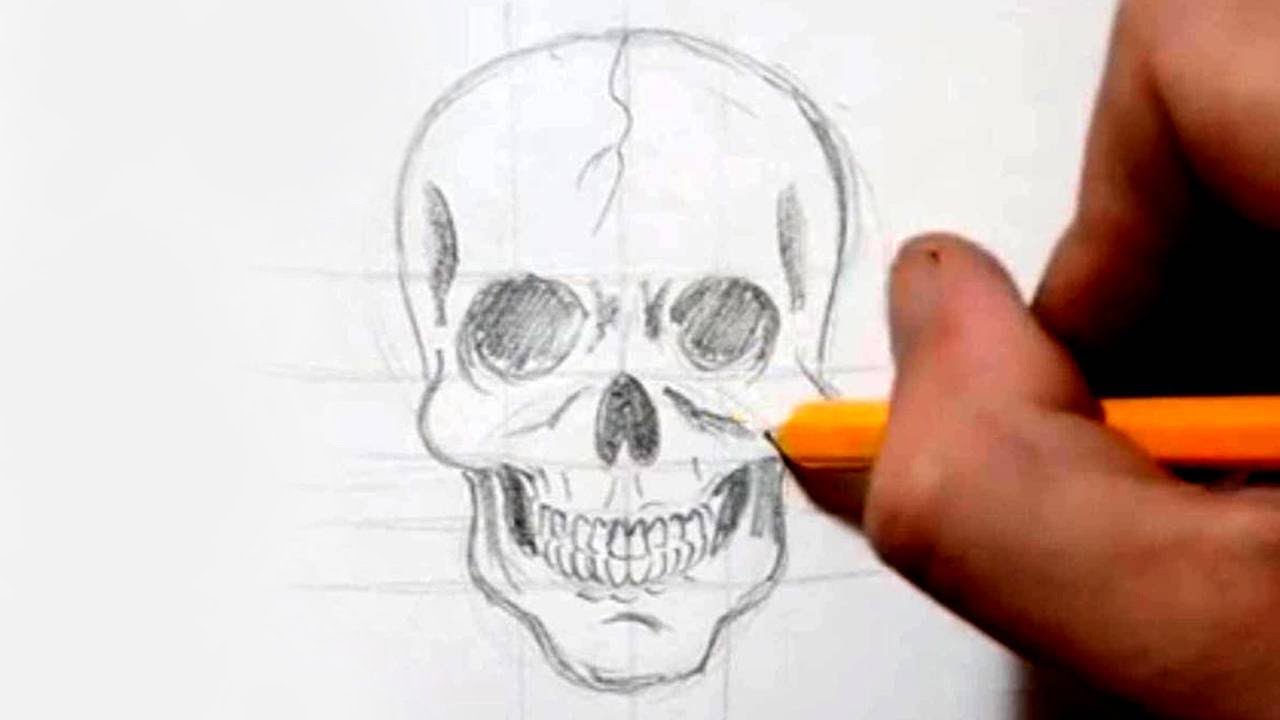 How to draw a skull with a pencil step-by-step drawing tutorial