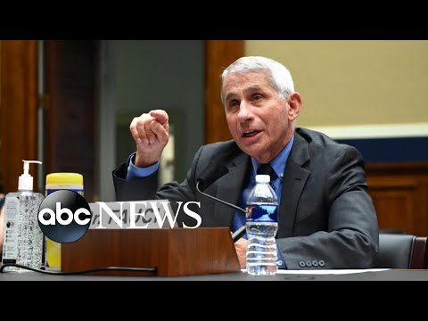 Dr. Fauci testifies