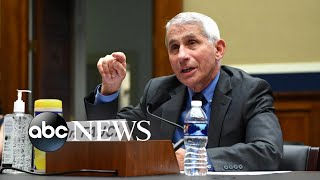 Dr. Fauci testifies about 'disturbing surge' of infections