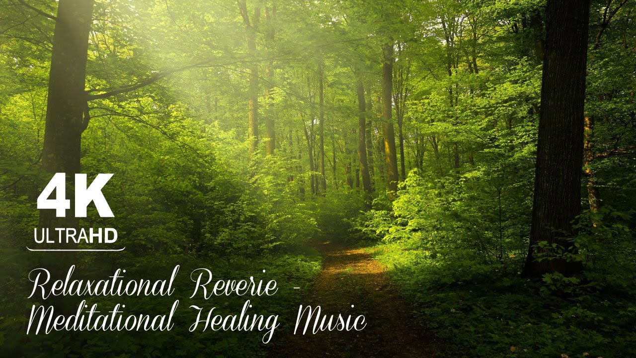 Escape into Nature with Relaxational Reverie | 4K Ultra HD | Serene ...