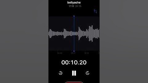 Sean Killeen - bellyache