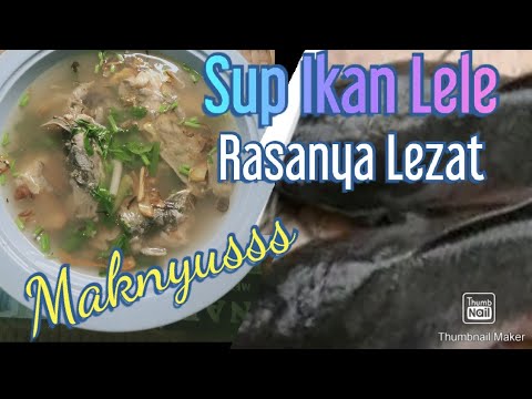 Cara Masak Sup Ikan Lele