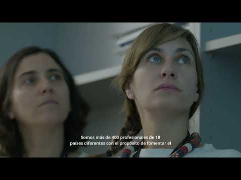 Conoce el Cima