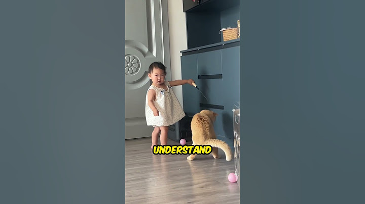 Cat Becomes the Best Babysitter Ever