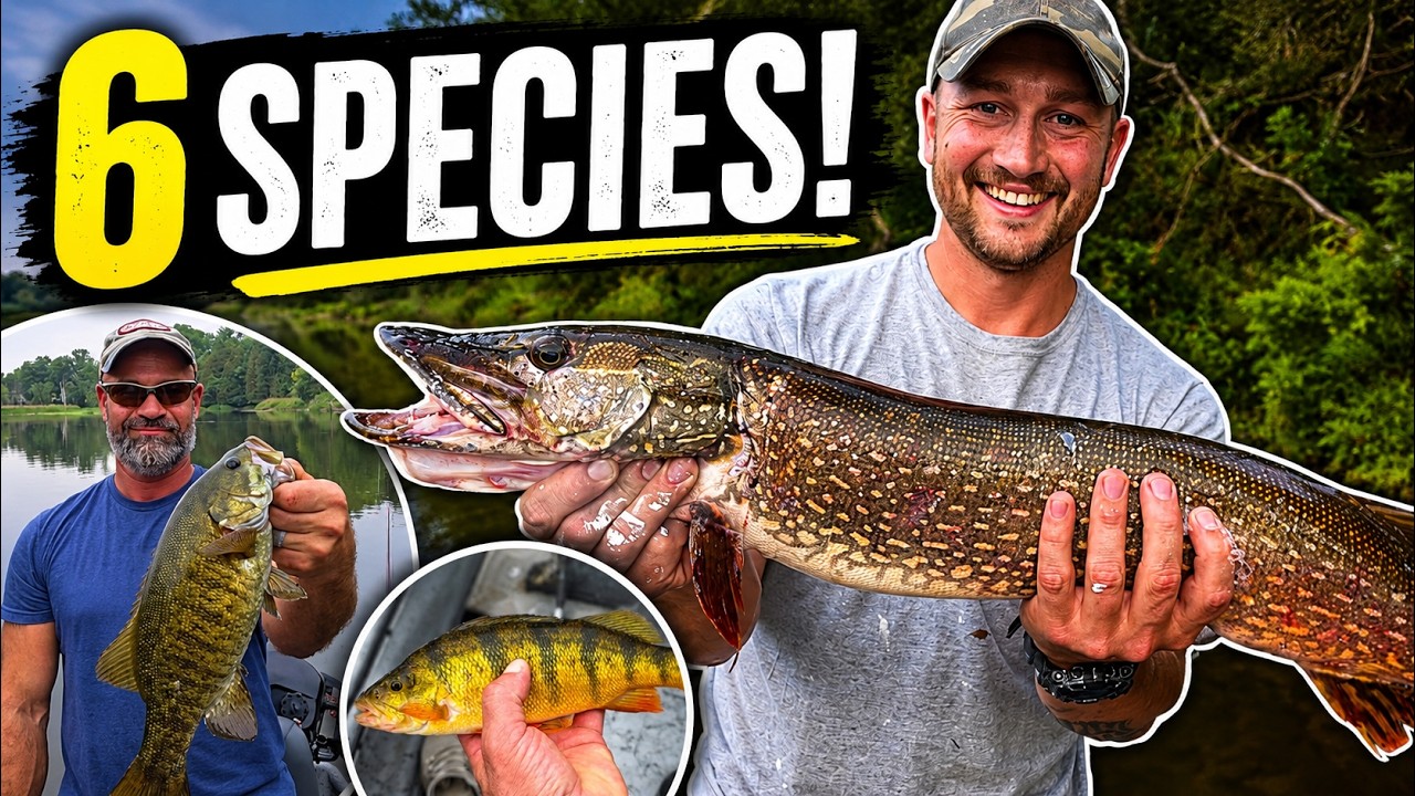 Muskegon River, Michigan – We Went Fishing For Whatever Would Bite