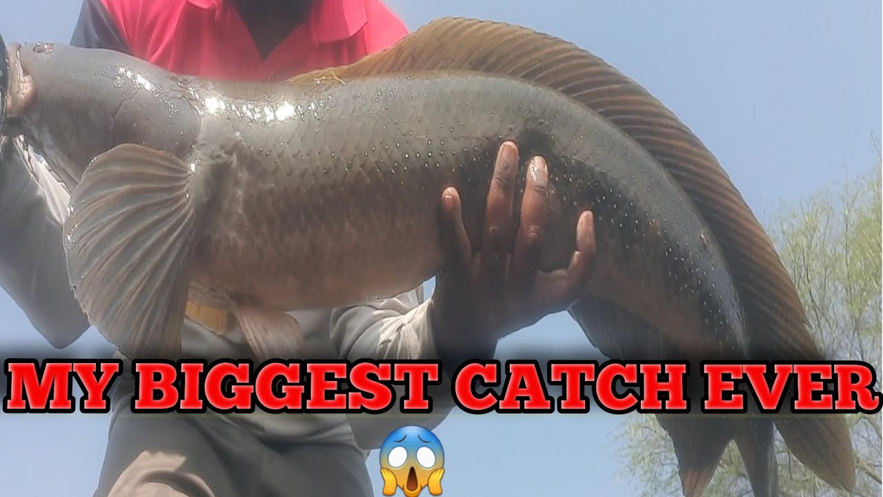 MY BIGGEST CATCH EVER - YouTube