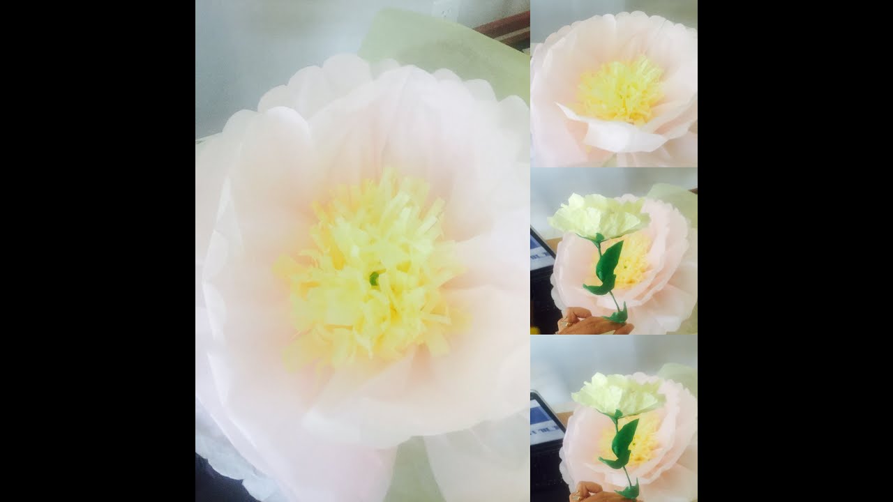 tissue paper giant flower tutorial youtube giant tissue paper flower tutorial