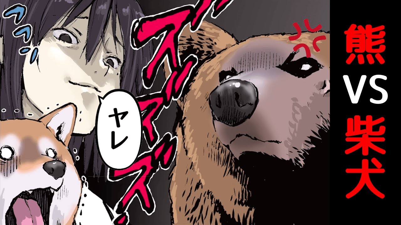 熊に遭遇し戦いを挑む柴犬【世界の終わりに柴犬と切り抜き / アニメ