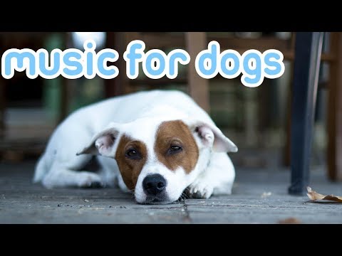 through a dog's ear youtube