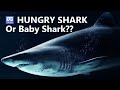 3D 180VR 4K Hungry Shark meet Children 😍😍 Children love shark because of pinkfong baby shark