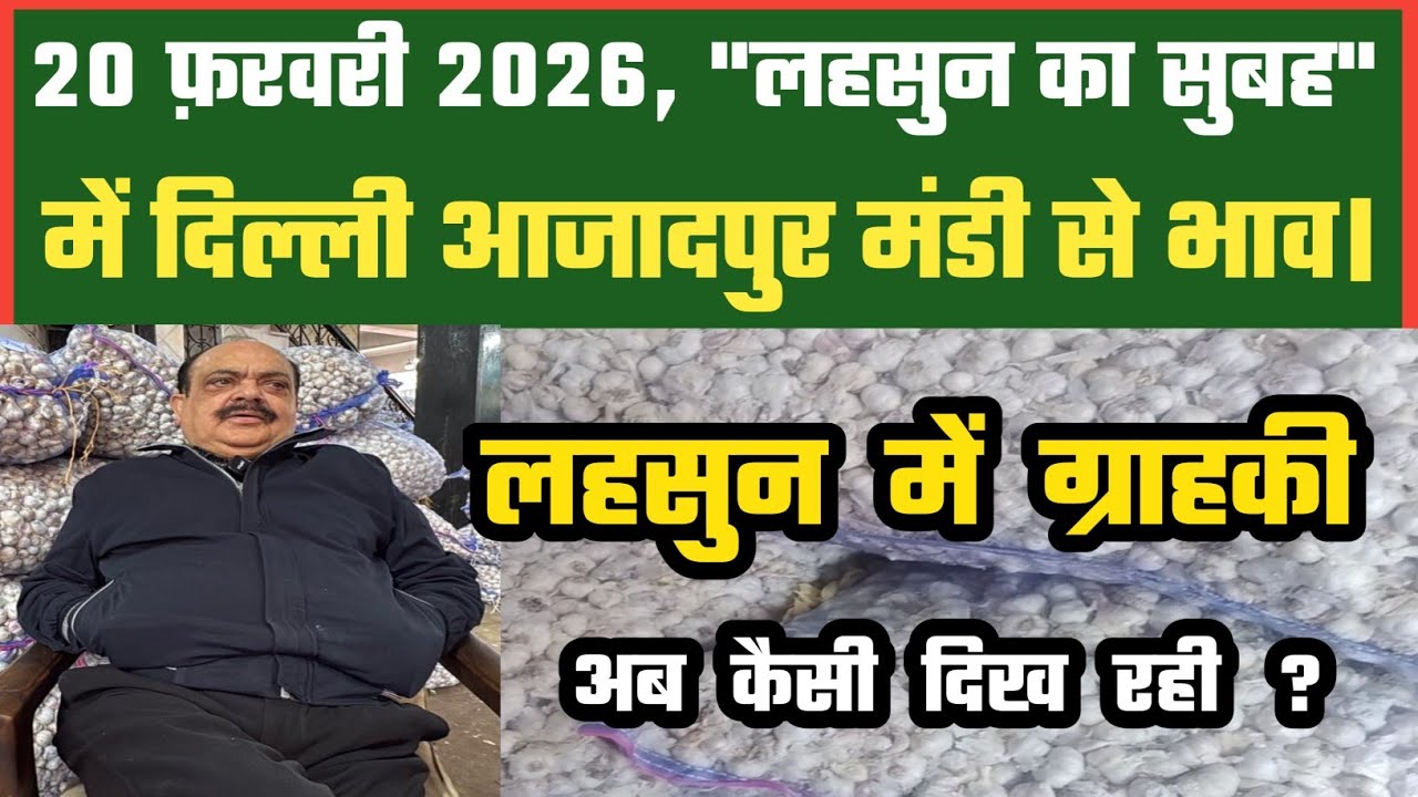लहसुन में बाज़ार कैसा दिखा ? Azadpur Delhi Mandi Today 20-02-2026 को बने ऐसे Garlic Price DMT TV