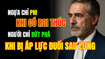 Ngựa Chỉ Phi Nước Đại Khi Có Roi Thúc, Người Chỉ Bứt Phá Khi Bị Áp Lực Đuổi Theo | Bài Học Cuộc Sống