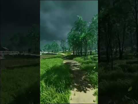 تساقط اوراق الاشجار