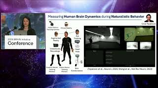 Human Brain Dynamics in Naturalistic Environments