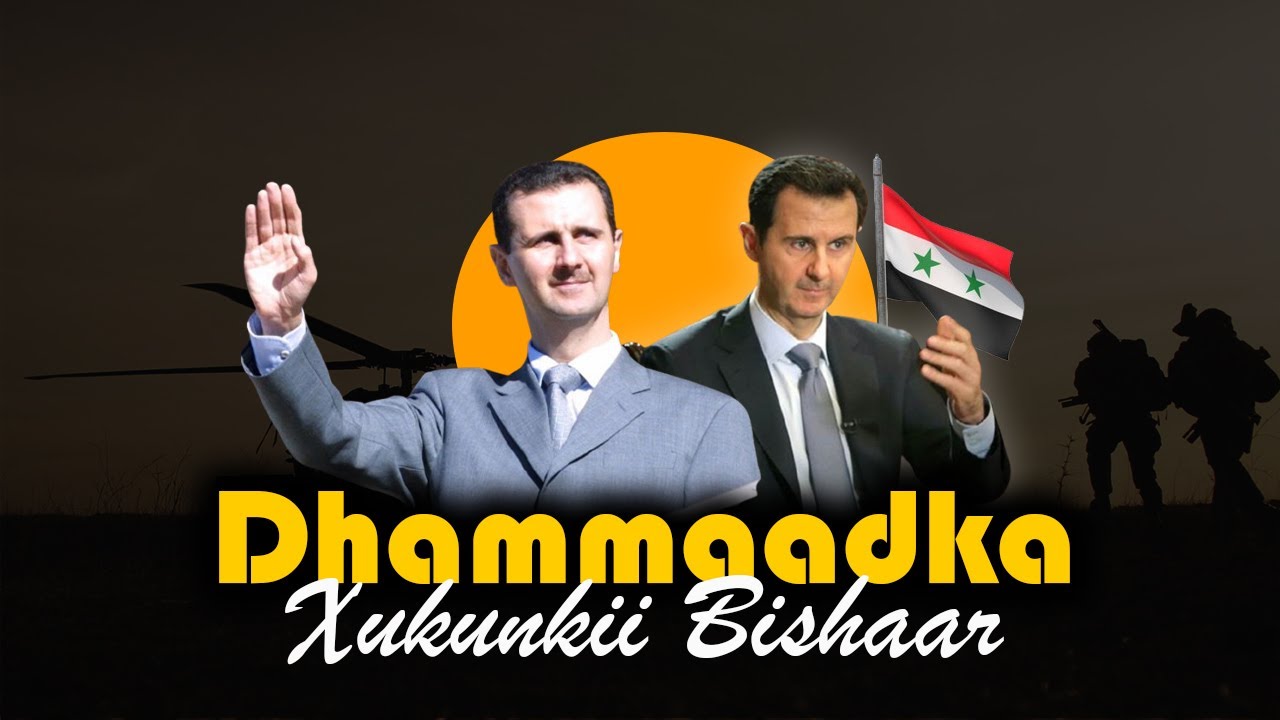 Documentary | Dhammaadka Xukunkii Bishaar | Dagaallada Suuriya