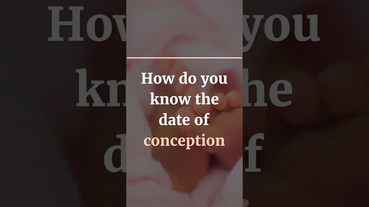 Find Conception Date sennexdesign