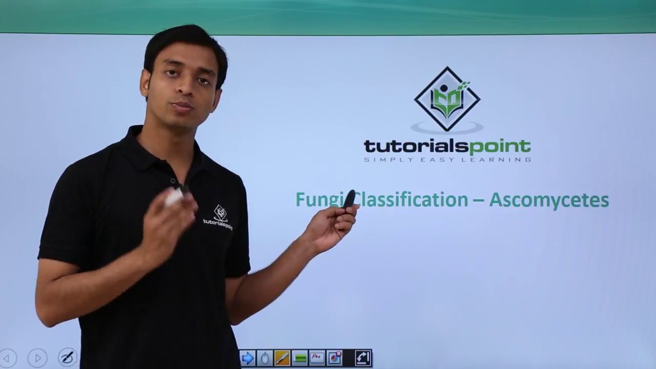 Class 11th – Fungi Classification – Ascomycetes | Biological Classification | Tutorials Point