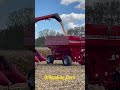 Offloading corn 