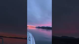 Out with the boat on a lovely sunset🌇#boatlife #boat#sunset