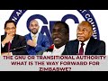 The gnu or transitional authority  what is the way forward for zimbabwe