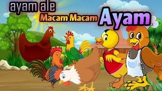Ayam Ale || Macam - Macam Ayam - Lagu Anak Indonesia Populer