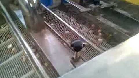 Batter machine, preduster machine, breaded machine