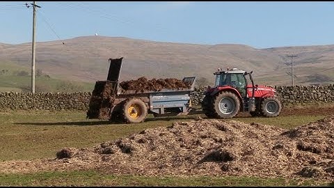Muck-Spreading the Solids!  Massey action with Bunning - and Merlo Loading.