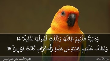سورة الإنسان كاملة مكتوبة ومسموعة بصوت القارئ احمد الحراسيس