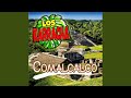 Video de Comalcalco