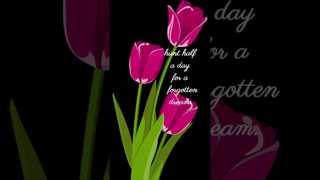 Life Quotes Daily Wisdom Take Time to Wonder 