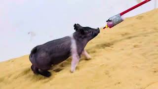 Deterding 2-14 cross gilt