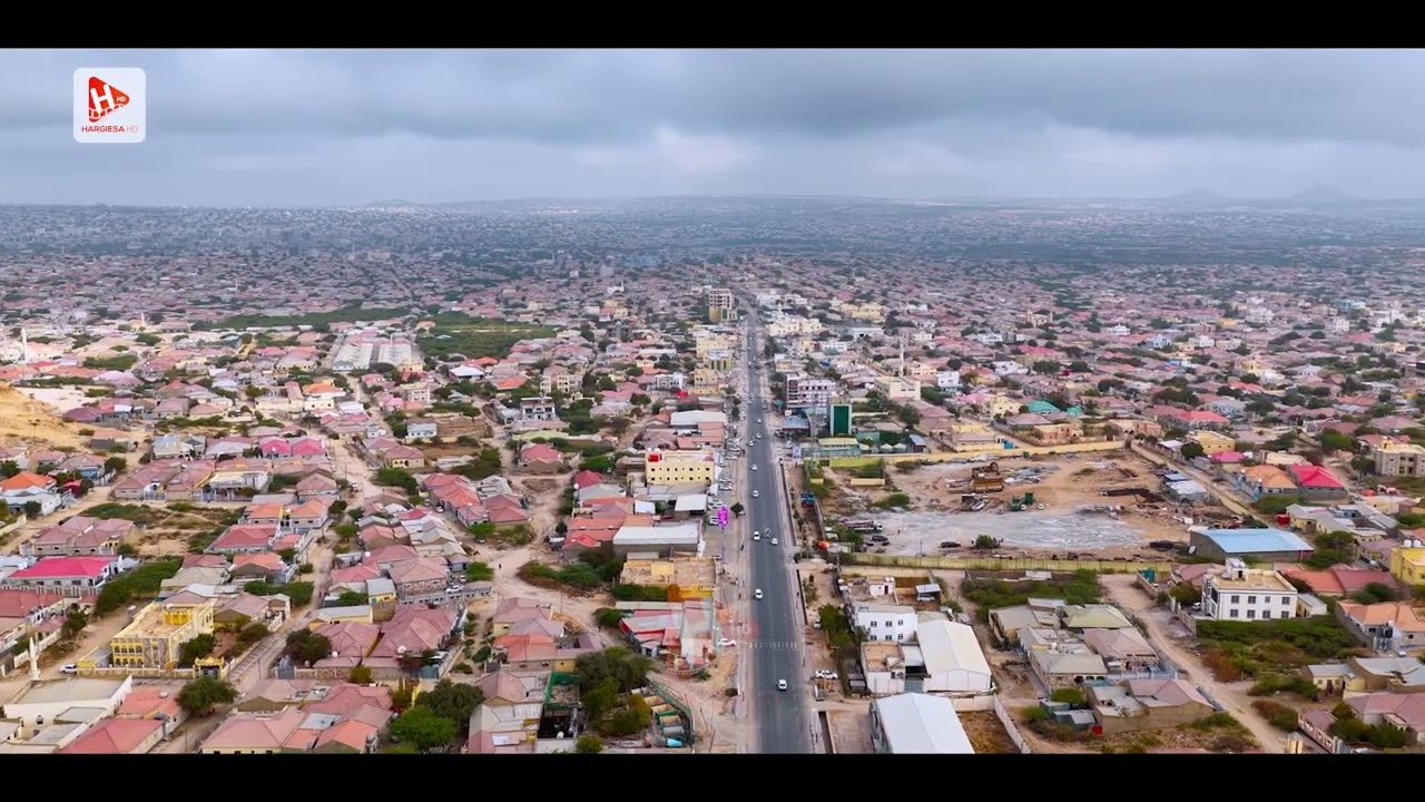 Проблема Харгейсы.