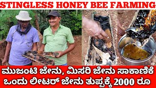 ಮುಜಂಟಿ ಜೇನು, ಮಿಸರಿ ಜೇನು ಸಾಕಾಣಿಕೆ | ಲೀಟರ್ ಜೇನು ತುಪ್ಪಕ್ಕೆ 2000 | Mujanti Stingless Honey Bee Keeping