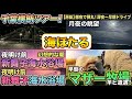 【マザー牧場】深夜のアクアラインからマザー牧場へ。千葉を遊び尽くす最高の朝活