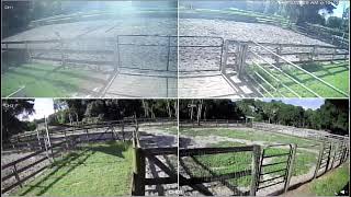 Ultimate Acres FarmCam 8/9/2026 PM