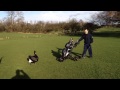 Golf Swan attack