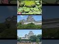 Stunning Himeji Castle 🏯✨ A masterpiece of history and beauty 🇯🇵 #Himeji #JapanTravel #hiddengems