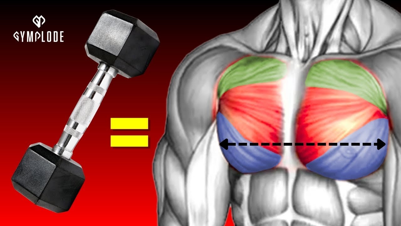 10 BEST Chest Exercises with Dumbbells! 🔥 - YouTube